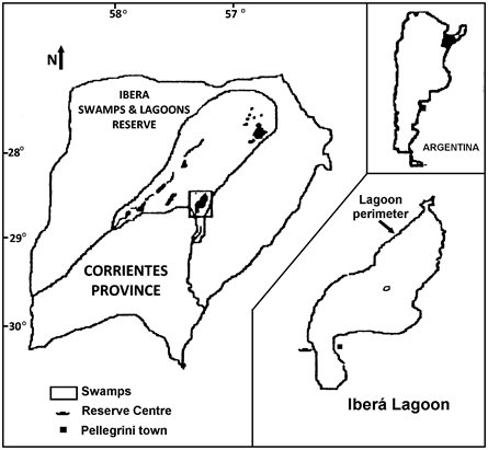 Map showing position of Correintes Province in the north east of Argentina, the position of the swamps in the north centre of the province, and the Ibera lagoon at the south end of the swamp; the lagoon perimeter is shown, with the Reserve Centre and Pellegrini town either side of the southern lobe of the lagoon.  Click for larger versions. 