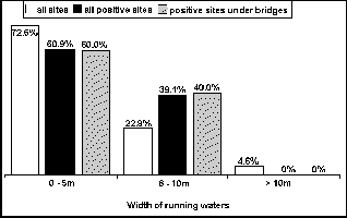 Graph showing most positive sites are on 
            streams less than 10m wide, with little sign of 
            concentration under bridges