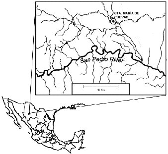 Map of Mexico showing study area in north near San Pedro River