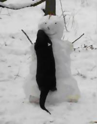 Otter and Snowman