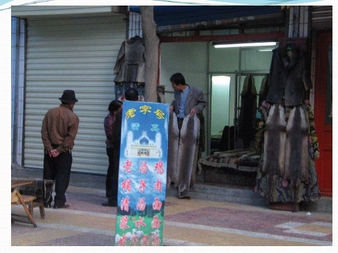 Fur shop in Tibet, with shopkeeper displaying four otter skins to customers; at least two more are visible forming part of a costume, and may other skins are on racks and hangers