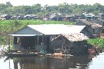 The viillage is a group of houseboats around an area of weeds in the lake