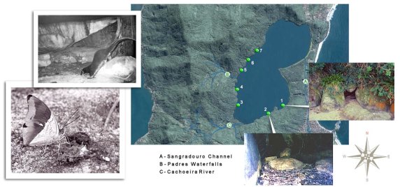 Map showing distribution of holts along the west and southeast margins of the lagoon, and images of an otter defaecating inside a holt, a butterfly feeding on spraint and the inside and outside view of a holt
