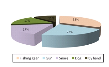 Pie chart showing that 33% caught otters using fishing grea, 22% used guns, 17% used snares, 17% used dogs and the rest caught otters 'by hand'