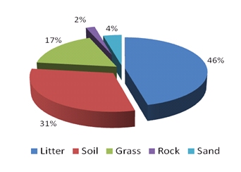 Pie chart showing that 46% of sprainting surface was leaf litter, 31% was soil, 17% was grass, 2% was rock and 4% was sand