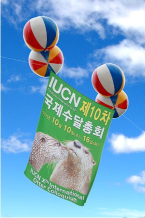 The banner of the 10th International Otter Colloquium flying about Hwacheon, South Korea