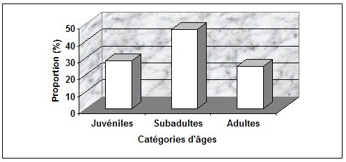 Graph showing twice as many subadults as juveniles or adults.