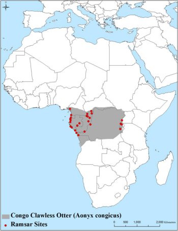 Map of Africa showing otter distribution in the Congo Basin as far east as the Mountains of the Moon; Ramsar sites are in the western half of the area, plus four in the Ruwenzori Mountains.  Click for larger version.