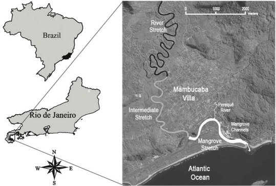 Map of Brazil showing location of Rio de Janeiro state towarsd the southeast, on the coast, and the location of the study area in the extreme south of the state, where a wide river meanders inland through mangroves and forest.  Click for larger version.
