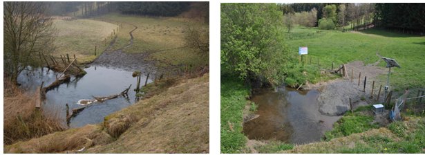 Photos of a stretch of river before and after cattle fencing; before, the river bank is trodden down; after a more natural bank is seen, with the cattle having a solar-powered pumped drinking trough instead of free access to the river.  Click for larger version.
