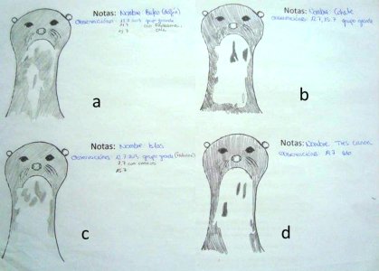 Mask sheet showing four different otters.  Click for larger version.